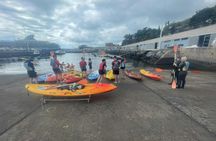 Funchal and Garajau Natural Reserve kayak and snorkelling tour