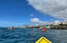 Funchal and Garajau Natural Reserve kayak and snorkelling tour