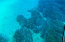 Yellow Submarine swim cruise with unlimited drinks from Larnaca