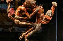 BODY WORLDS & The Cycle of Life exhibition in Chemnitz