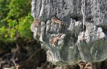 Private Wang Long Bay and Maya Bay sunset adventure