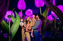 Highlights of Holland