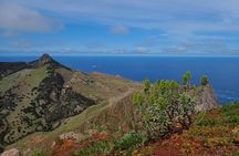 Porto Santo guided hiking tour