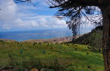 Porto Santo guided hiking tour