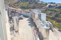 Paphos Hills wine tour with lunch and historic monastery visit