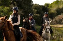 Dynamic horseback adventure through rural Mallorca