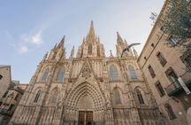 Food market guided tour with tastings