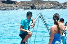 Lobos island ferry and snorkeling experience from Corralejo