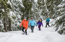 Grouse Mountain Admission Ticket