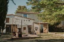 Snacking experience in lavender fields in Aix-en-Provence