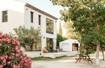 Lavender field self-guided tour with bottle of Champagne