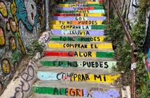 Valparaiso and Viña del Mar day trip from Santiago