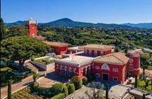 Wine tasting and vineyard guided tour from Nice