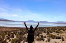Salinas Salt Lagoon private full-day guided tour from Arequipa