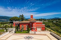 Vineyard experience and guided tour through Provence from Nice