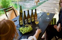 Organic vineyard guided tour with tasting in Vinhos Verdes region