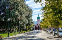 Cajón del Maipo and El Yeso Reservoir guided tour from Santiago