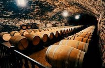 Maipo Valley wine tasting tour from Santiago