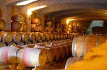 Premium winery tour from Santiago with wine tasting