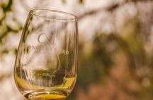 Premium winery tour from Santiago with wine tasting