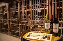 Maipo Valley and Santa Rita garden wine tasting tour from Santiago