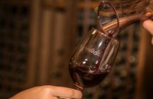 Maipo Valley and Santa Rita garden wine tasting tour from Santiago