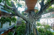 The Green Planet and Ain Dubai combo ticket