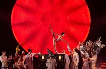 Tickets for Cirque du Soleil's LUZIA show in Miami