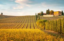 San Gimignano, Chianti and Pisa day trip from Siena