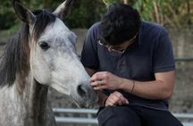 Mount Vesuvius horseback riding adventure