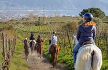 Mount Vesuvius horse riding with wine tasting and lunch
