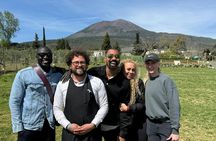 Mount Vesuvius horse riding with wine tasting and lunch