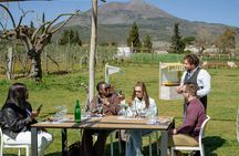 Pompeii tour with Vesuvius horse riding and wine tasting