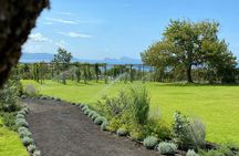 Pompeii tour with Vesuvius horse riding and wine tasting