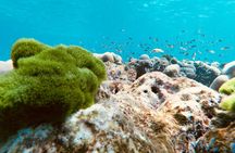 Phi Phi and 4 islands luxury speed catamaran sunset cruise with BBQ