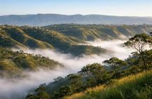 Zulu cultural tour to the Valley of a Thousand Hills from Durban