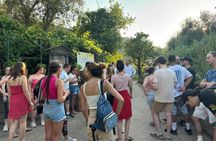 Hands-on Italian pizza making class in Sorrento garden