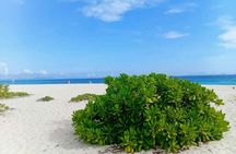 Sunrise Phi Phi cove collection with longtail boat from Krabi