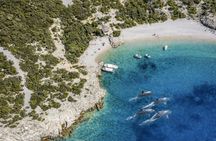 Sunset dolphin watching boat tour in Opatija