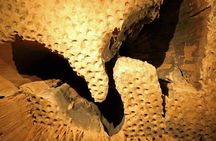Al Hoota Cave entrance ticket and guided tour