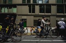 Central Park electric Dutch bike rental experience