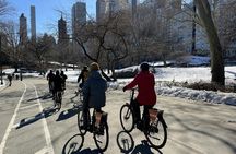 Central Park electric Dutch bike rental experience