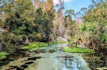 Rock Springs river tubing and Apopka Wildlife Trail with hotel pickup