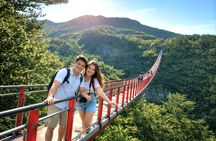 DMZ and Mt. Gamaksan Red Suspension Bridge Tour from Seoul