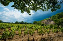 Gaillac small group wine tour with tastings from Toulouse