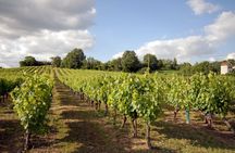 Gaillac small group wine tour with tastings from Toulouse