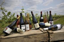 Loire Valley wine tour with tastings in Chinon and Bourgueil vineyards