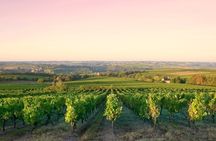 Côte de Nuits half-day wine tour with tastings from Dijon
