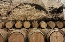 Côte de Nuits half-day wine tour with tastings from Dijon
