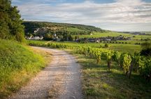Côte de Nuits half-day wine tour with tastings from Dijon